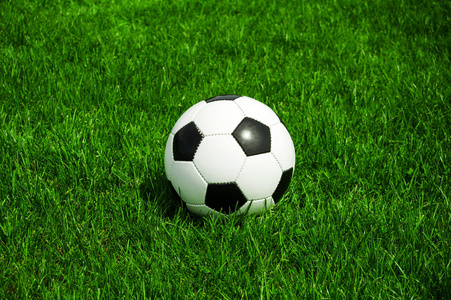 资深球迷观赛必备